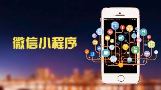 成都小程序開發：小程序開發公司能為客戶提供哪些專業的服務？